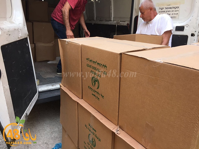 torold yaffa (13).jpg